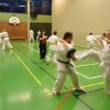 judoka11_6